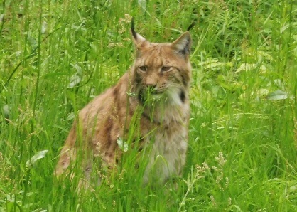 fewo einberger nationalpark